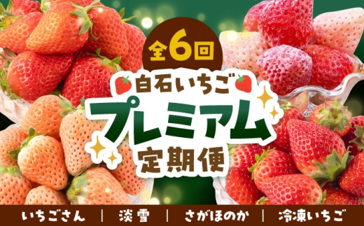【先行予約 2027年1月～発送】【6回定期便】プレミアム いちご 食べ比べ 定期便【岸川農園】 いちご 苺 イチゴ いちごさん あわゆき 淡雪 さがほのか 冷凍いちご 冷凍苺 フルーツ 果物 国産 佐賀県産 白石町 [IAP023]