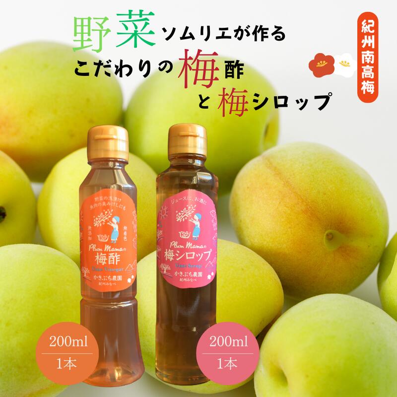 【ふるさと納税】 野菜ソムリエ仕込み 梅酢・梅シロップセット 紀州南高梅使用 200ml×各1本 【藻塩仕込みの梅酢は数量限定となります 楽天ふるさと納税限定商品】