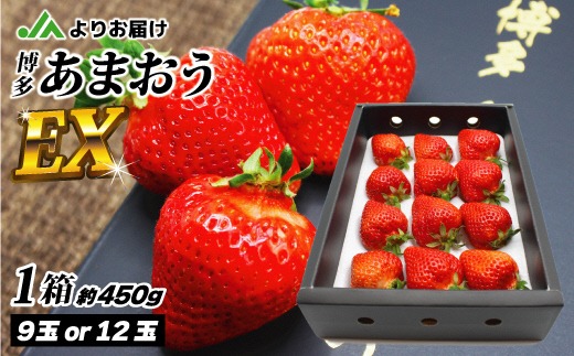 1月より順次発送!「博多あまおう」EX　贈答用化粧箱　約450g 1箱【ほたるの里】_HA0752