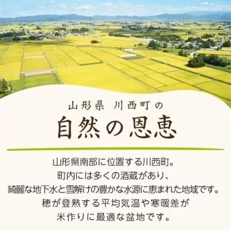 令和7年産　山形県産　つや姫　10kg(5kg×2袋)_米 こめ 白米 精米 精白米 特別栽培米 つや姫 山形県 ブランド米 産地直送 人気 おすすめ 贈答 ギフト プレゼント 送料無料 お取り寄せ 