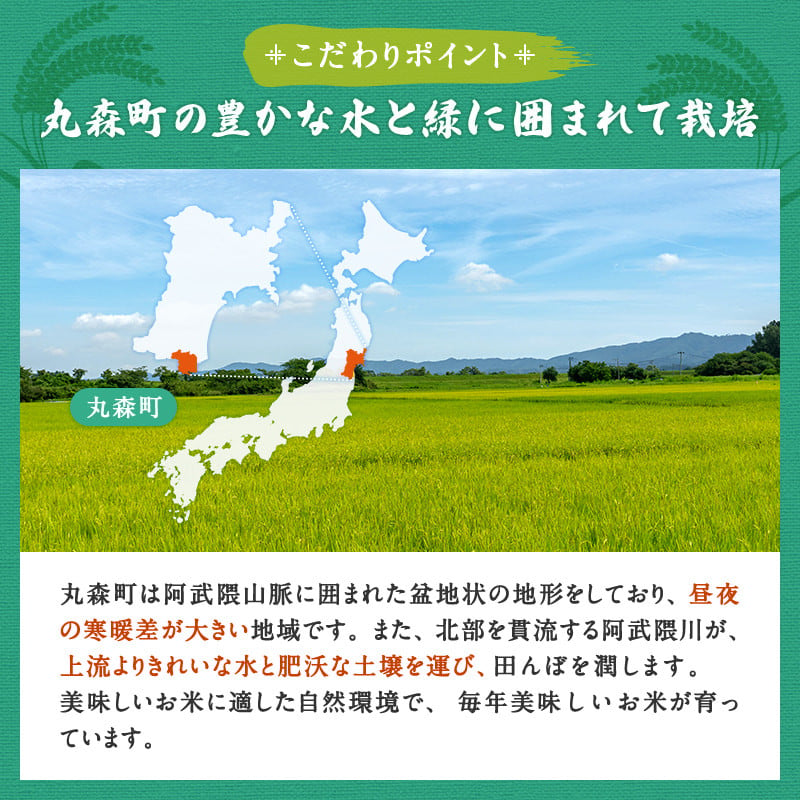 【定期便】令和6年産 新米 精米 ブランド米「いざ初陣」15kg（1kg×15個を3カ月）食味値85以上 整粒歩合80%以上