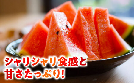 【先行予約】 【2回定期便】 大玉スイカ！4L～5Lサイズ（1玉 約9kg～11kg）　2種類楽しめる！ 1玉入りを2回お届け！ 【城野農園】[ZFV007]