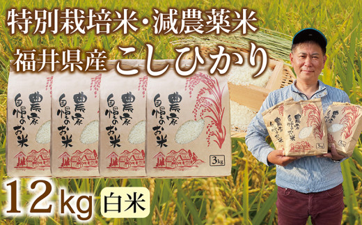 ＼新米先行予約／10月 減農薬米 こしひかり 12kg（3kg×４袋）／令和8年 福井県産 （白米） 人気品種 少量サイズ便利