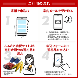 【 オンラインで完結 】ゆっくりえらべる カタログ 5万円 コース 