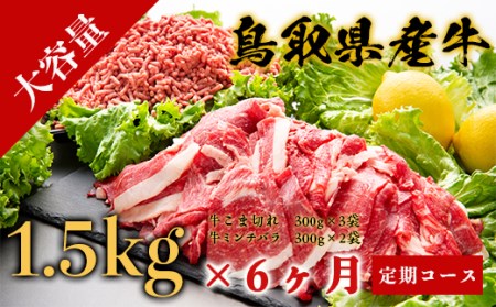 Y007 鳥取県産牛 定期便 6ヶ月コース