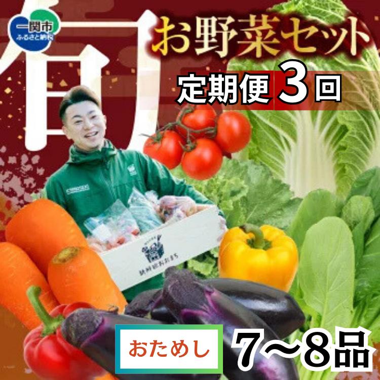 【定期便/3か月】注文が来てから収穫発送！収穫したばかりの新鮮野菜セットお試しコース 《7～8品》