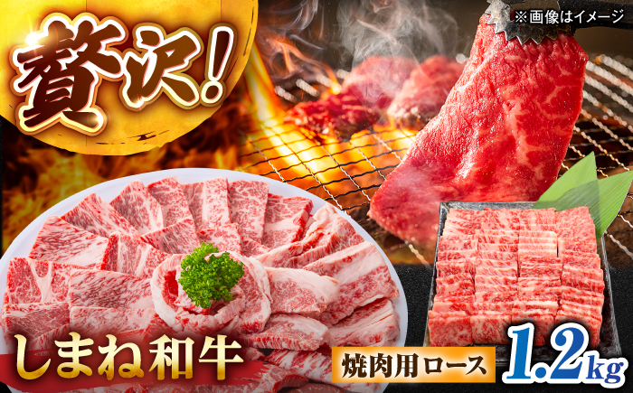 しまね和牛ロース 1.2kg(400g×3パック) 焼肉用 島根県松江市/株式会社さんれいフーズ [ALFR010]