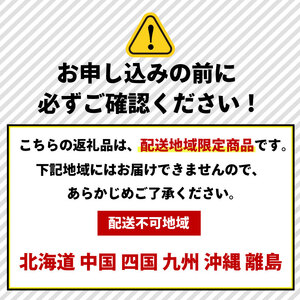おせち 三段重 4~5人前 令和8年 2026年 年内配送 おせち おせち おせち