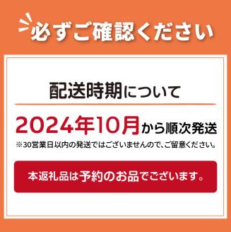 【予約：2024年10月から順次発送】季節のりんご詰め合わせ 3kg ( りんご リンゴ 林檎 旭 つがる 黄王 レッドゴールド ジョナゴールド 昴林 王林 ふじ )【044-0002-2024】