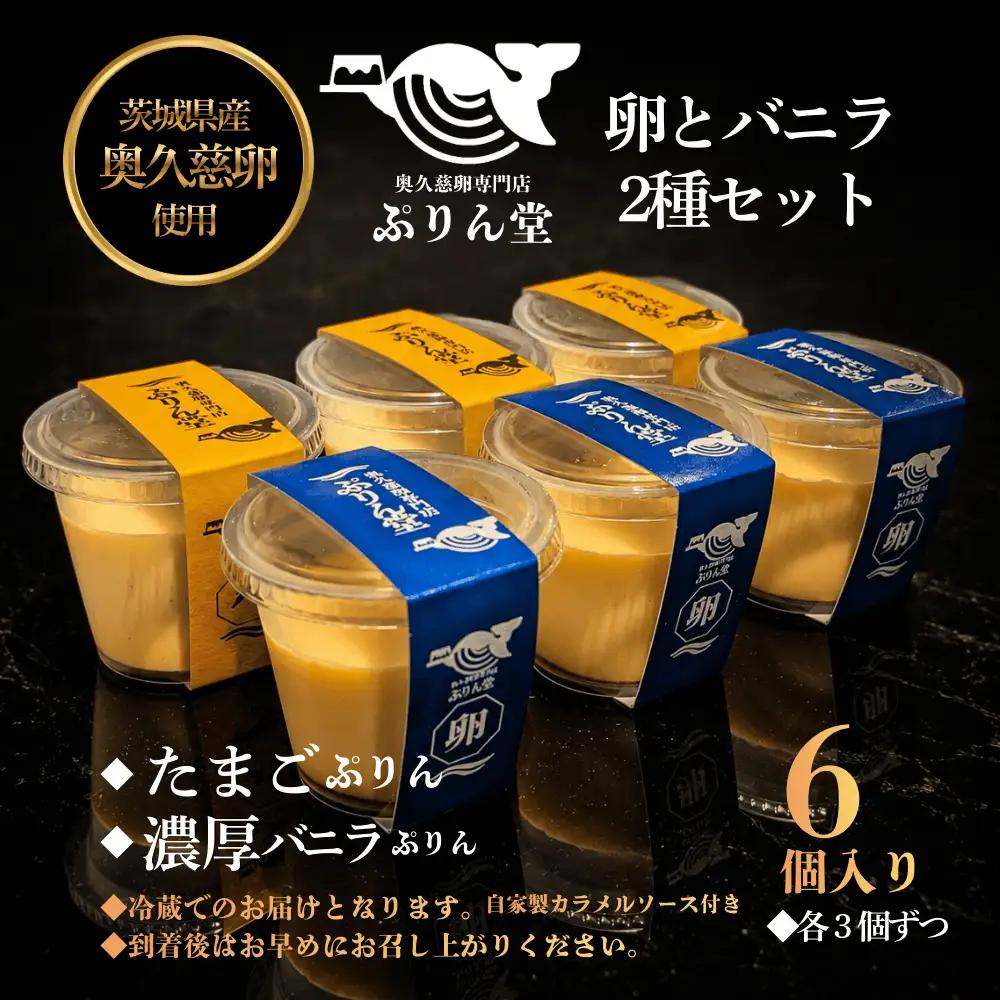 奥久慈卵使用 たまごぷりん×3個 濃厚バニラぷりん×3個 バニラ香るカラメル 洋菓子 スイーツ 【プリン】【ho1701】