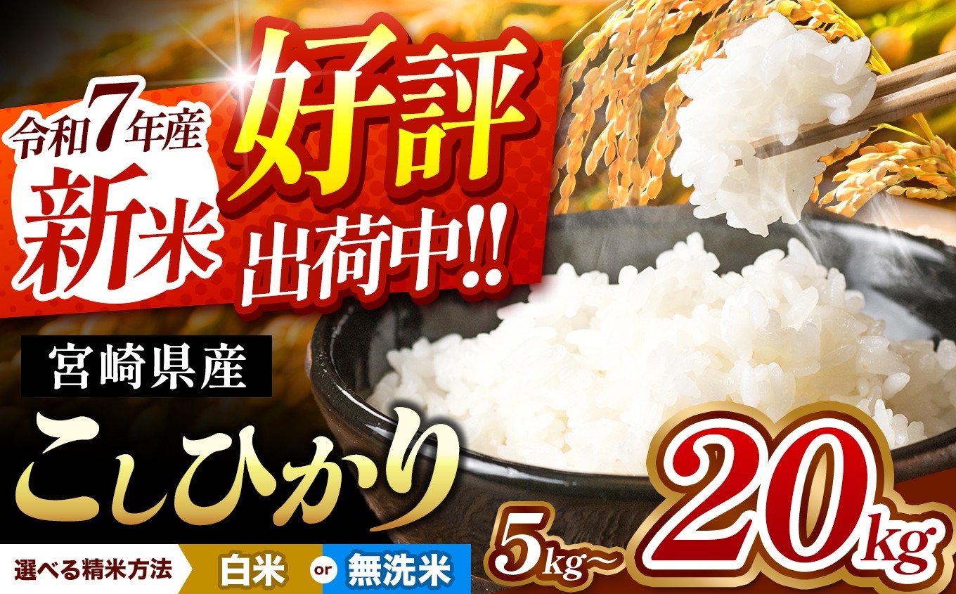 宮崎県産 こしひかり 新米（白米）10kg