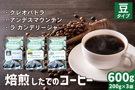 焙煎したてのコーヒー豆 3袋 (クレオパトラ・アンデスマウンテン・ラ カンデリージャ)【豆】[0346]