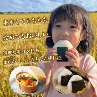 ふるさと納税 佐渡市 【令和7年産】佐渡高千産コシヒカリ 真空包装1kg×4袋(精米) |  | 02