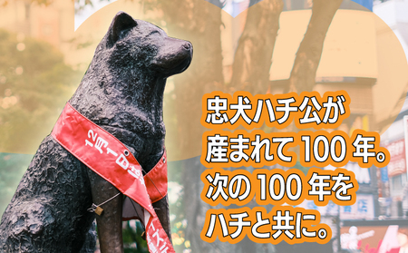 HACHI100オリジナルハチ公像TシャツXXL（HACHI100オリジナルコットン巾着サービス)　40P7605