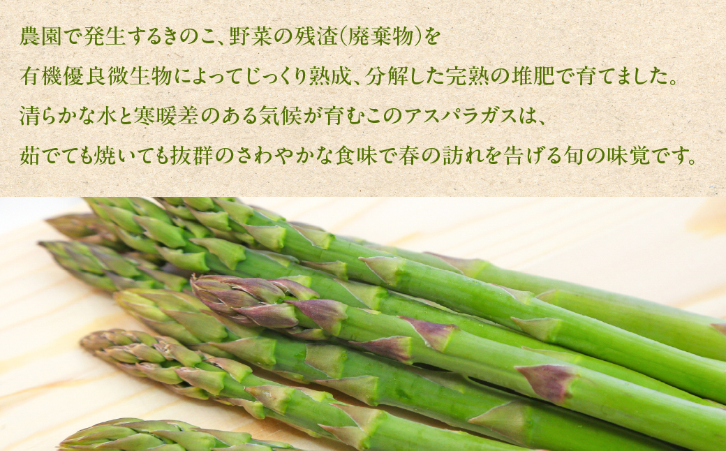先行予約（2026年5月から順次発送）高級アスパラガス 隆至の龍 1kg（約50本入り）レギュラーサイズ アスパラ 下呂市  限定 こだわり ブランド 期間限定【大黒屋農園】【119-2】 アスパラ 