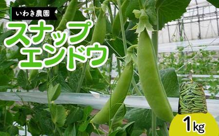 【5月中旬～6月中旬限定発送！】いわき農園のスナップエンドウ 1kg 三陸山田 山田町 野菜 幸姫 有機栽培 無農薬 YD-829
