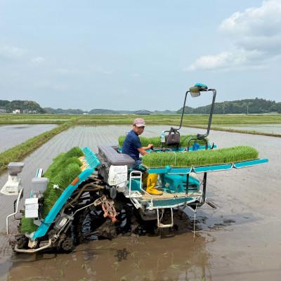 ふるさと納税 多古町 多古米セレクション　大木茂秀さんの多古米コシヒカリ　精米5kg　令和7年産 |  | 03