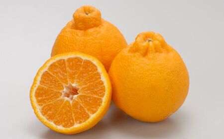 【先行予約】【数量限定】JAにしうわ みつる共選 デコポン 約5kg（化粧箱）※離島への配送不可（2026年2月中旬より順次発送予定） 【 みかん ミカン デコポン 不知火 しらぬい 果物 】 IKT