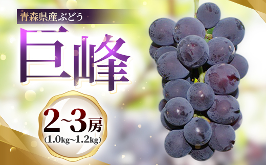2027年発送　青森県産ぶどう　巨峰　2～3房(1kg以上)【配送不可地域：離島】