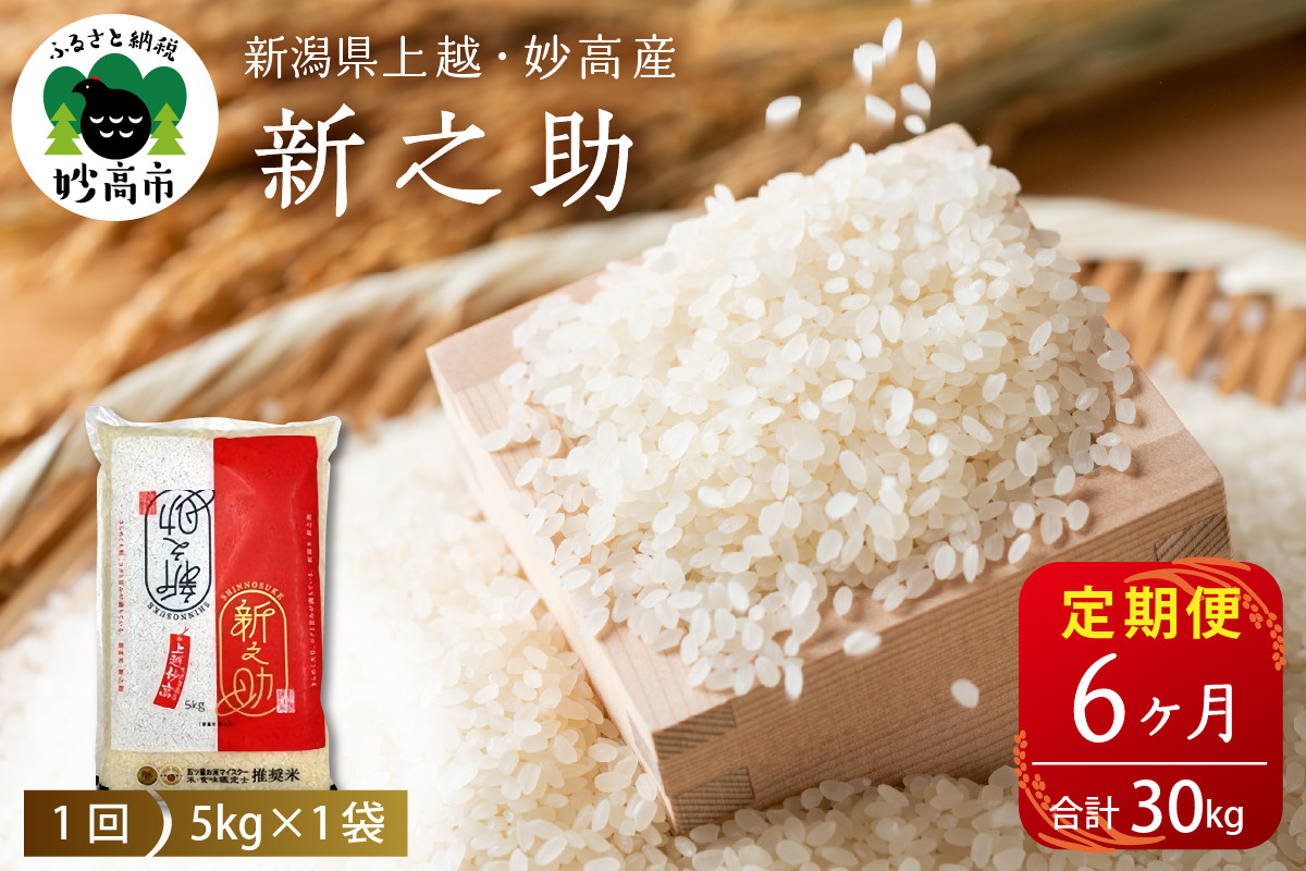 
            【毎月定期便】令和7年産新潟県上越・妙高産新之助5kg（計30kg）全6回
          