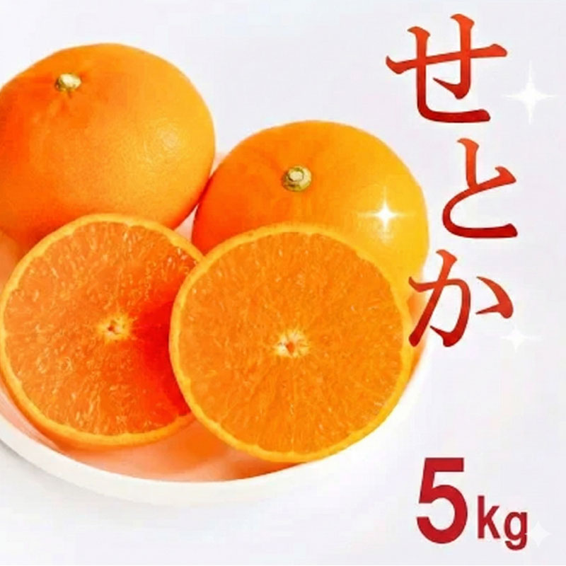 【ふるさと納税】 選べる 訳あり せとか 5kg 柑橘 みかん 蜜柑 フルーツ 人気 甘い ジューシー 産地直送 国産 数量限定 糖度 果実 果肉 ビタミン 健康 美容 ゼリー ジュース アイス 特産品 規格外 エニシトラス 愛媛県 愛南町 送料無料 発送期間: 3月上旬より順次発送