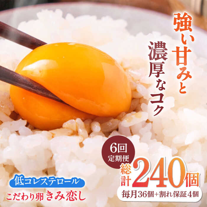 【ふるさと納税】【6回定期便】きみ恋し 箱入り 40個（36個+割れ保証4個）×6ヶ月 総計240個　広川町/伊藤養鶏場[AFAJ008]