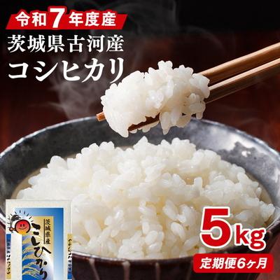 ふるさと納税 古河市 【定期便 6か月】令和7年産 古河市産コシヒカリ 5kg | 米 こめ コメ 5キロ _DP35
