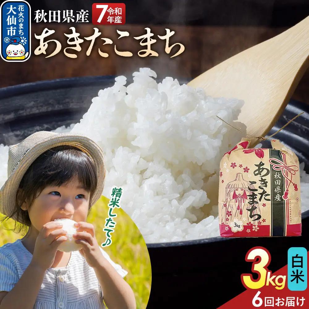 《定期便6ヶ月》あきたこまち【白米】3kg 秋田県産 令和7年産 こまちライン 秋田県 大仙市産