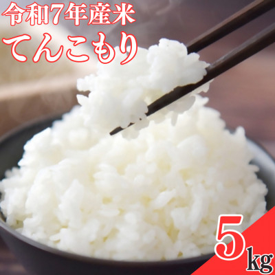 
                  ＜令和7年産米＞てんこもり5kg【1623581】
                