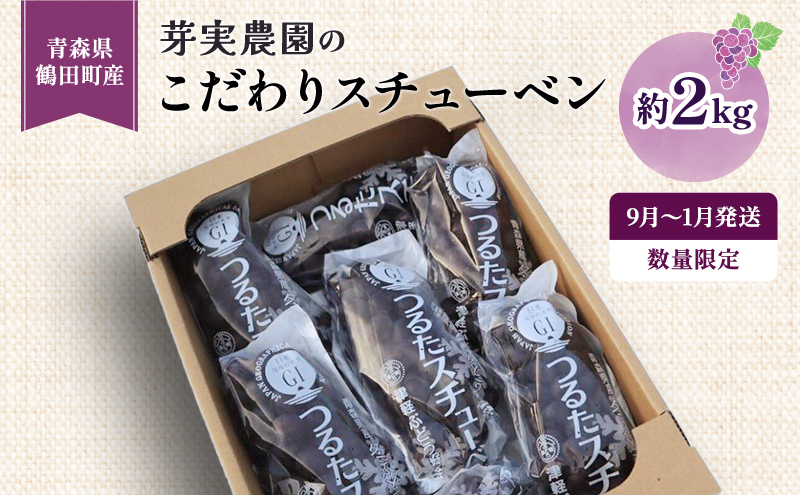 【 数量限定 】芽実農園 農家直送 スチューベン 約 2kg【 9月 ～ 1月発送 】青森県鶴田町産 果物 フルーツ ぶどう おやつ デザート 食後 冬ぶどう 