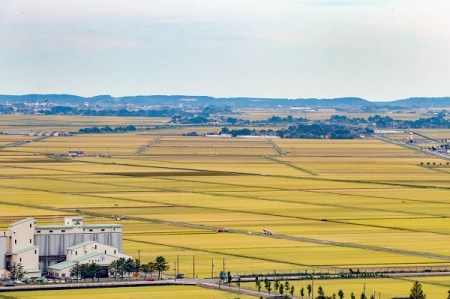 ＜3月中旬発送＞辛口の日本酒3か月定期便　蔵元おすすめセット（入金期限：2024.2.25）
