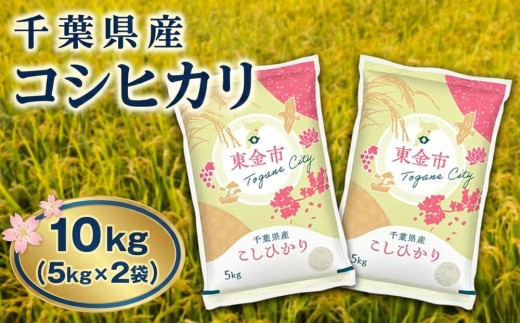 コシヒカリ 10kg ( 5kg × 2袋 ) 米 お米 こしひかり こめ コメ おこめ okome kome 国産 精米 白米 肉 にあう 魚 にあう おむすび おにぎり おかず にあう 美味しい グルメ 朝食 贈答 取り寄せ ギフト 令和7年度産 千葉県産 鍋屋商店 千葉県 東金市