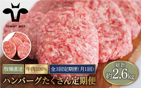 【3回定期便】家族に優しい！ハンバーグ＆ロールステーキ定期便 / ハンバーグ ハンバーグ ハンバーグ ハンバーグ[IAH049]