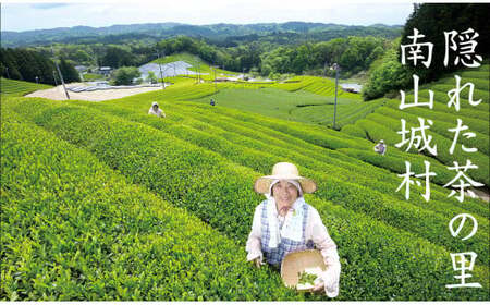 春摘み粉末緑茶  100杯分  (50g×2袋) 緑茶 粉末緑茶 お茶 茶 ティータイム リラックス 簡単 すぐ使える 粉末 オフィス グッズ カテキン 道の駅 京都 南山城村 京都府