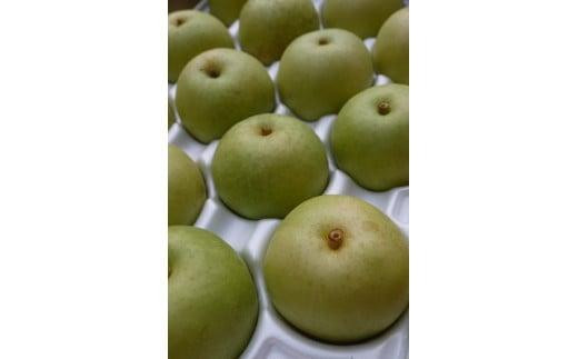 二十世紀梨 2.5kg【たにがみ農園】