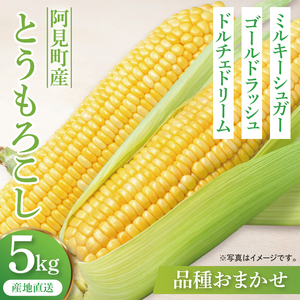 【6月末から7月下旬までの発送】トウモロコシ 約5kg【朝採れ 甘い とうもろこし 玉蜀黍】(84-06)