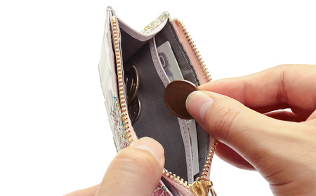 【浅草文庫】フラグメントケース〈花菱柄〉(カラー：ピンク)