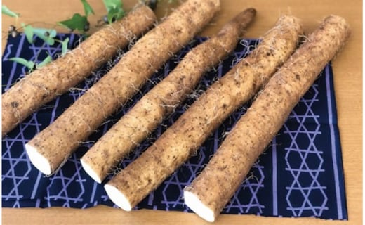 
                  【自宅用】よくばり自然薯セット
                