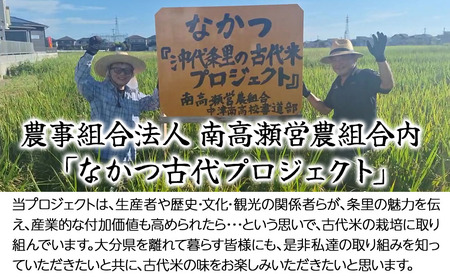 なかつ 沖代条里の古代米 (黒米) 300g×1袋 雑穀 雑穀米 古代米 紫黒米 国産 お米 米 玄米 ご飯 健康志向 大分県産 九州産 中津市 国産