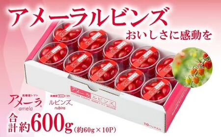 ミニトマト アメーラルビンズ 約60g×10P ミニトマト