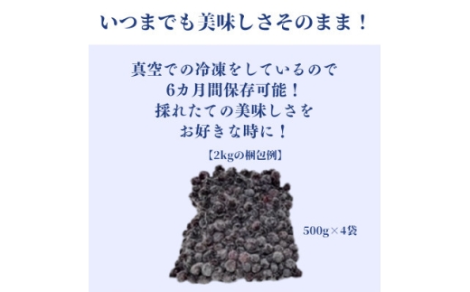 【毎月定期便】冷凍ブルーベリー2kg(500g×4パック)全3回【4092941】