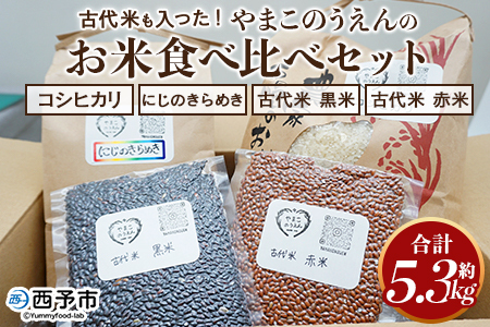 ＜古代米も入った！やまこのうえんのお米 4種類食べ比べセット 合計5.3kg＞ お米 コメ ご飯 ライス 穀物 こしひかり コシヒカリ にじのきらめき 古代米 黒米 赤米 食べ比べ 特産品 やまこのうえん 愛媛県 西予市【常温】『2025年9月上旬より順次出荷予定』UYN0001