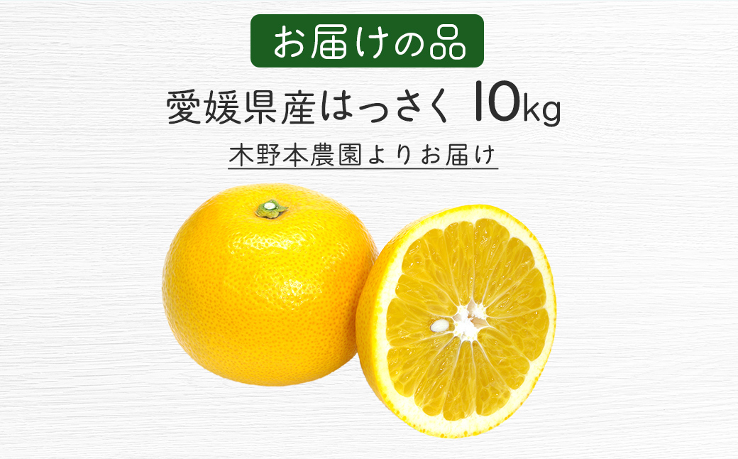 【栽培期間中農薬不使用】【先行受付】【数量限定】農園直送！愛媛県産 はっさく 10kg （2026年2月下旬頃より順次発送）  IKTG024