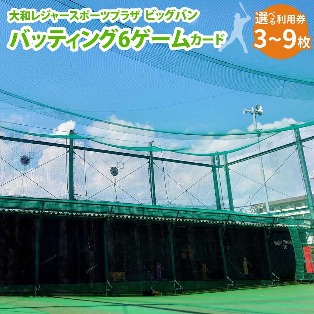 【ふるさと納税】バッティング 6ゲームカード 大和レジャー スポーツプラザ ビッグバン 〈選べる枚数〉 3枚 ／ 6枚 ／ 9枚 野球 打撃練習 チケット 利用券 室内 スポーツ アミューズメント 神奈川県 大和市 送料無料