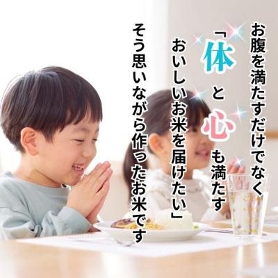 ふるさと納税 飯山市 【先行予約】《新米》こしひかり 精米 10kg 特別栽培米 『奥信濃の棚田米 実の里』 |  | 01
