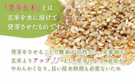 【3回定期便】【スーパー玄米！発芽発酵玄米】合鴨農法ゆめぴりか 【有機肥料/無農薬・無化学肥料･備蓄用】令和7年度米 1.8kg