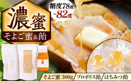 そよご蜜 × 飴 東濃地域 そよごセット 瑞浪市 / 堀養蜂園 はちみつ 蜂蜜 国産 [AZCF007]
