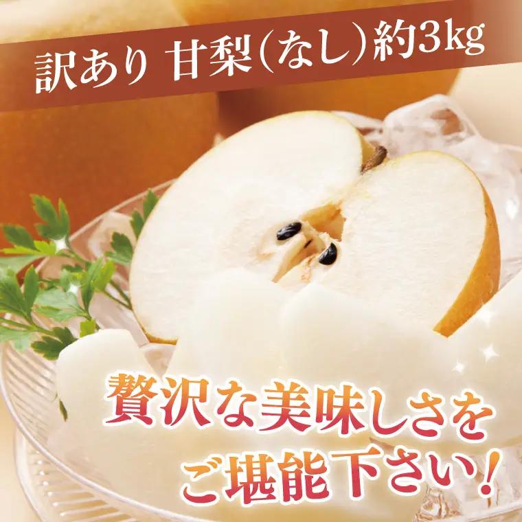 【8月中旬より発送】【数量限定】訳あり 甘梨（なし） 約3kg（茨城県共通返礼品／かすみがうら市）（FW-8）