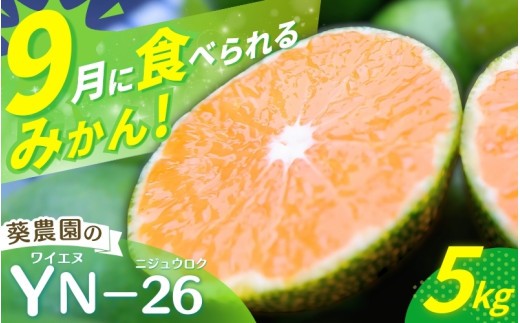 
                  ＼先行予約／ 【秀品】 極早生みかん YN-26 5kg（2S～Mサイズ混合） ※2026年9月より順次発送 / みかん ミカン 蜜柑 和歌山 早生 極早生 YN-26 温州 田辺市 紀州 くだもの 柑橘 フルーツ 【aoi002-1】
                