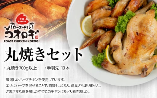 宮崎チキン ローストチキンコオロギ　丸焼きセット（丸焼き700ｇ以上、手羽先10本）_M150-002